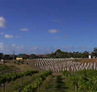 Deep Creek Wines and Alpacas - Accommodation Mooloolaba
