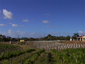 Deep Creek Wines And Alpacas - Accommodation Mooloolaba 0