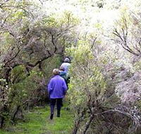 Jack And Hilda McArthur Walk - Accommodation Mooloolaba
