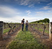 Coonawarra Wineries Walking Trail - Accommodation Mooloolaba