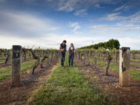 Coonawarra Wineries Walking Trail - Accommodation Mooloolaba 0