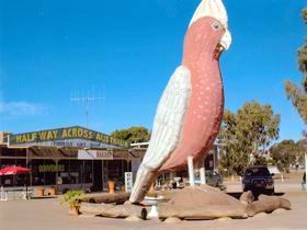 Solomon SA Accommodation Mooloolaba