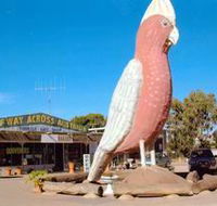 The Big Galah - Accommodation Mooloolaba