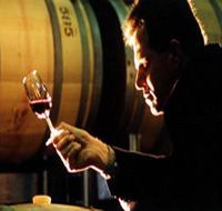 Salena Estate Wines - Accommodation Mooloolaba