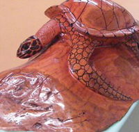 Ants Redgum Gallery - Accommodation Mooloolaba