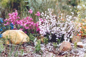 Stokes Bay Bush Garden - Accommodation Mooloolaba 0