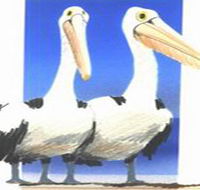 Bay of Shoals Wines - Accommodation Mooloolaba