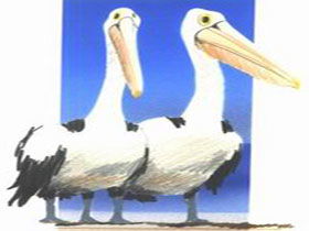 Bay Of Shoals Wines - Accommodation Mooloolaba 0