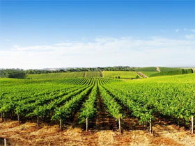  Accommodation Mooloolaba