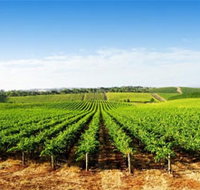 Aldinga Bay Winery - Accommodation Mooloolaba