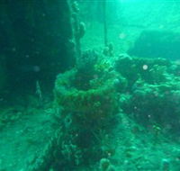 Wallaroo Scuba Club - Accommodation Mooloolaba