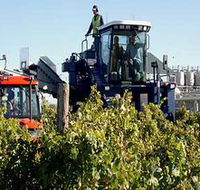 Ballast Stone Estate Wines Pty Ltd - Accommodation Mooloolaba