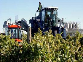 Ballast Stone Estate Wines Pty Ltd - Accommodation Mooloolaba 0