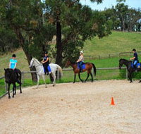 Megan Jones Riding School and Trail Rides - Accommodation Mooloolaba