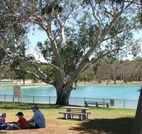 Naracoorte Nature Park and Swimming Lake - Accommodation Mooloolaba
