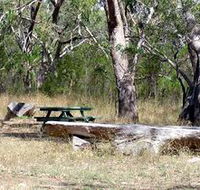 Penola Conservation Park - Accommodation Mooloolaba