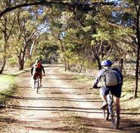 Bike About Mountain Bike Tours And Hire - Accommodation Mooloolaba
