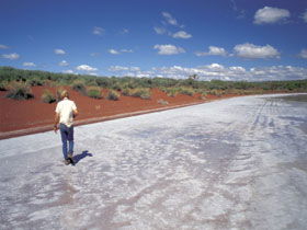 Lake Gairdner National Park - Accommodation Mooloolaba 0
