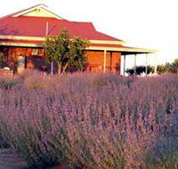 Bella Lavender Estate - Accommodation Mooloolaba
