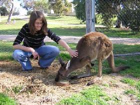 Pendleton Farmstay - Accommodation Mooloolaba 0