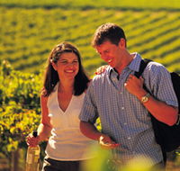 Lady Bay Vineyard - Accommodation Mooloolaba