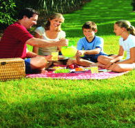 Bruny Island Berry Farm - Accommodation Mooloolaba