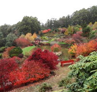 Emu Valley Rhododendron Garden - Accommodation Mooloolaba