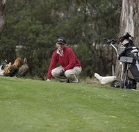Tasmania Golf Club - The - Accommodation Mooloolaba