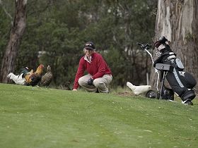 Tasmania Golf Club - The - Accommodation Mooloolaba 0