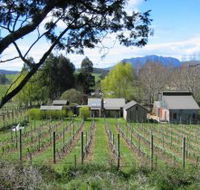 Wilmot Hills Vineyard - Accommodation Mooloolaba