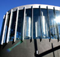 Moo Brew - Accommodation Mooloolaba