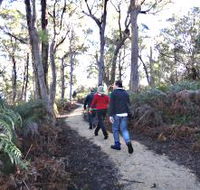 Bridport Walking Track - Accommodation Mooloolaba