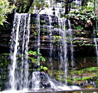 Mt Field National Park - Accommodation Mooloolaba