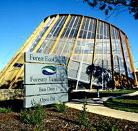 Forest EcoCentre - Accommodation Mooloolaba