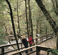 Franklin River Nature Trail - Accommodation Mooloolaba