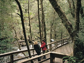 Franklin River Nature Trail - Accommodation Mooloolaba 0