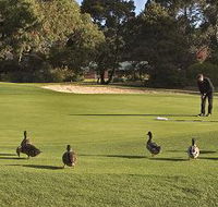 Royal Hobart Golf Club - Accommodation Mooloolaba