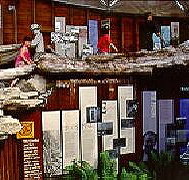West Coast Visitor Information and Booking Centre - Accommodation Mooloolaba