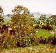 The Tasmanian Arboretum - Accommodation Mooloolaba