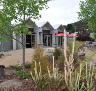 Tin Dragon Interpretation Centre and Cafe - Accommodation Mooloolaba
