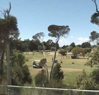 Greens Beach Golf Course - Accommodation Mooloolaba