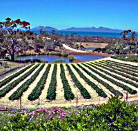 Kate's Berry Farm - Accommodation Mooloolaba