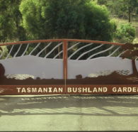 Tasmanian Bushland Garden - Accommodation Mooloolaba