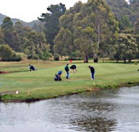 Penguin Golf Course - Accommodation Mooloolaba