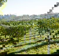 Surveyor's Hill Vineyards - Accommodation Mooloolaba