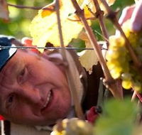 Puddleduck Vineyard - Accommodation Mooloolaba