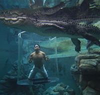 Crocosaurus Cove - Accommodation Mooloolaba