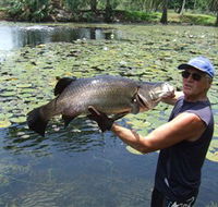 Barra Feeding - Accommodation Mooloolaba