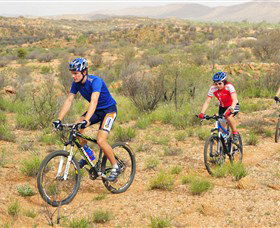 Araluen Mountain Bike Trails - Accommodation Mooloolaba 0