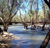 Low Level Nature Reserve - Accommodation Mooloolaba